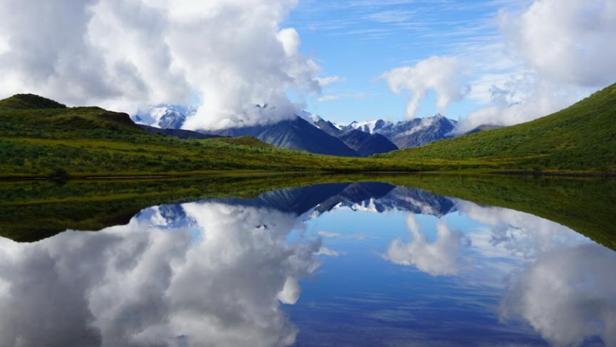 DSC07308 - carré.JPG