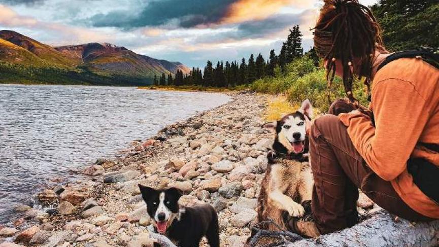 Huskies at Lake shore_0.jpg