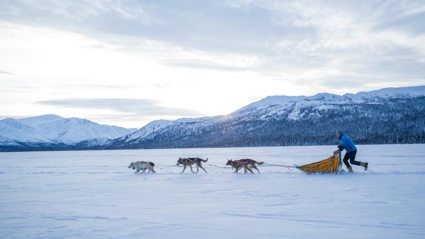 dog-sledding.jpg