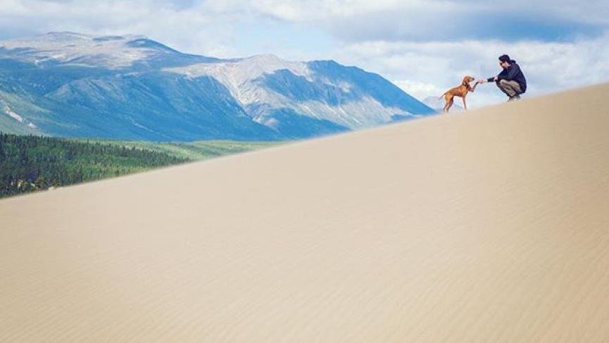 A dog shakes a paw with its owner in the Carcross Desert
