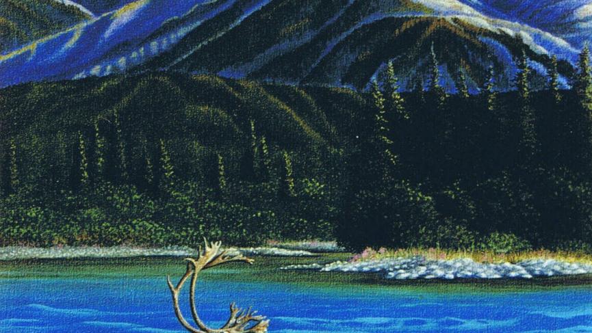 Tatshenshini Wild.jpg