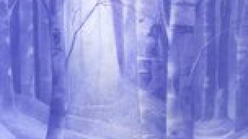 tn_winterrefuge.jpg