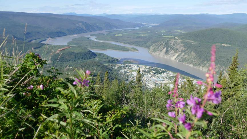 Ruby Range Adventure Best of Yukon Alaska dawson city dome view fireweed.jpg
