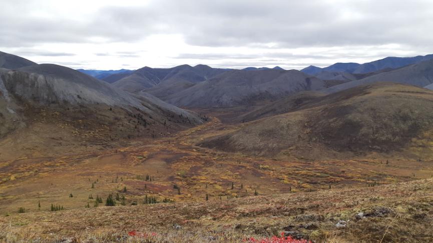 20200906_114439 copy.JPG