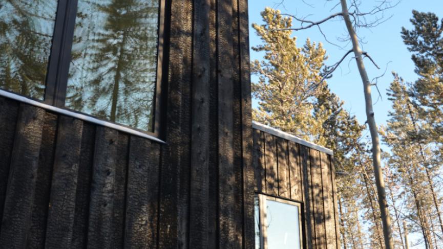 exterior windows small_0.JPG