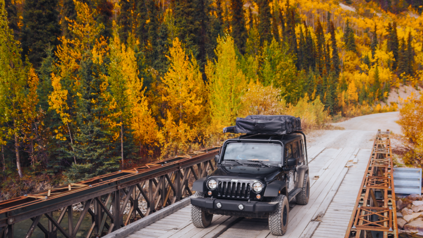 fall_activity_1.png