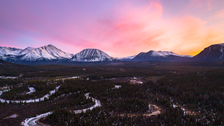 Liard