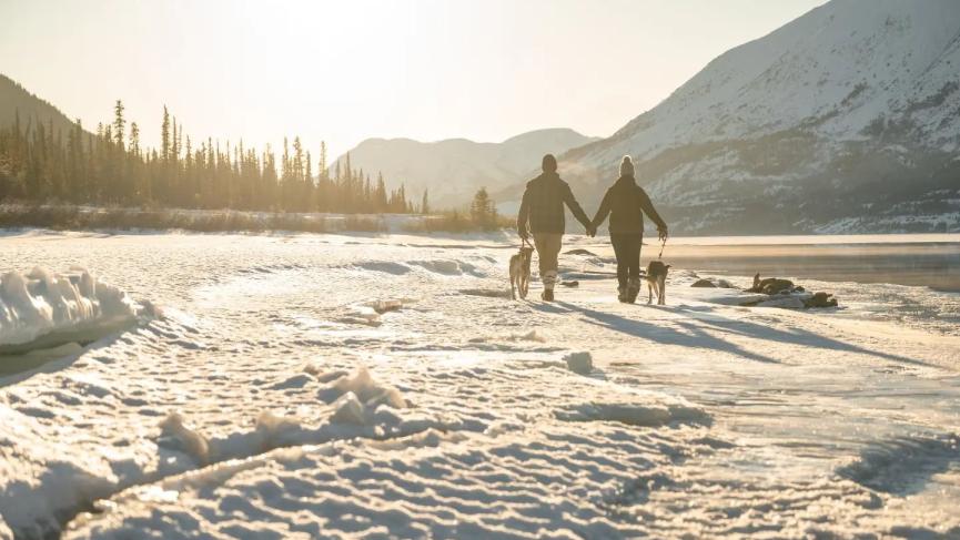 Two people walk along a snowy lakeside with two dogs