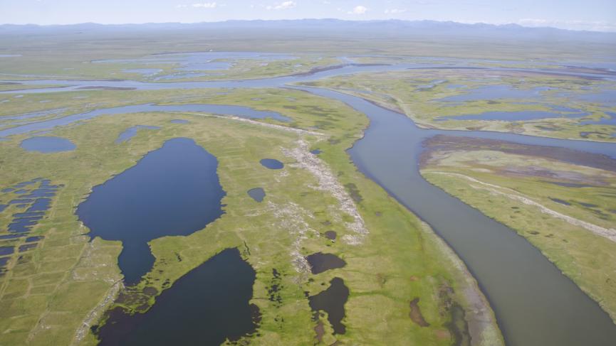 An aerial shot of Herschel Island's wetlands