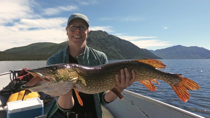 Nice Pike