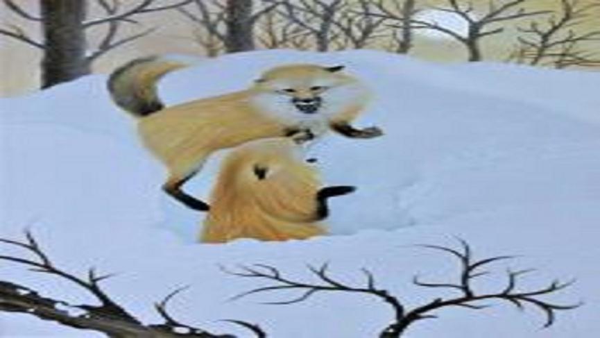 Frantic Foxes oil on birchwood