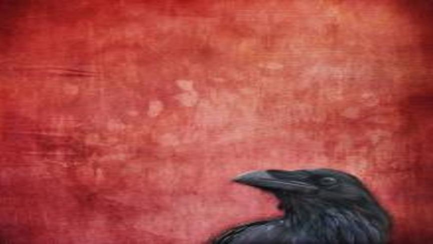 fallravensmall_1.jpg