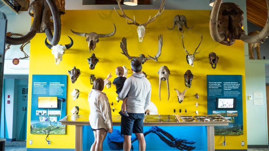 A young family looks at an exhibit at the Beringia Centre.
