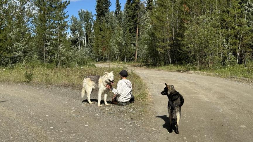 boy sitting on ground patting a dog