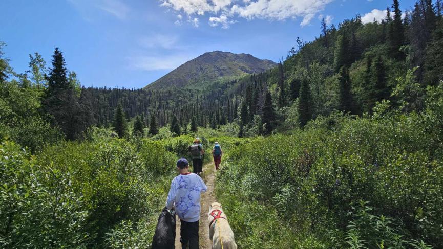 walking with dogs on St. Elias Trail