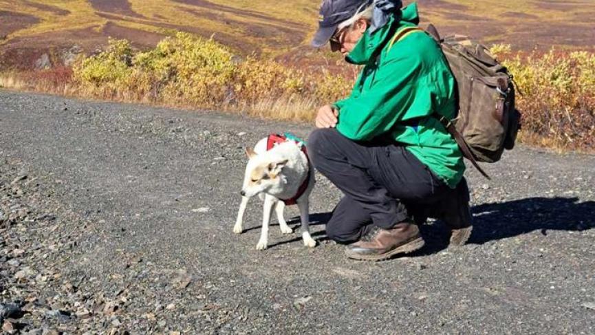 Man kneeling down petting his dog wiht mountenais backdrop 
