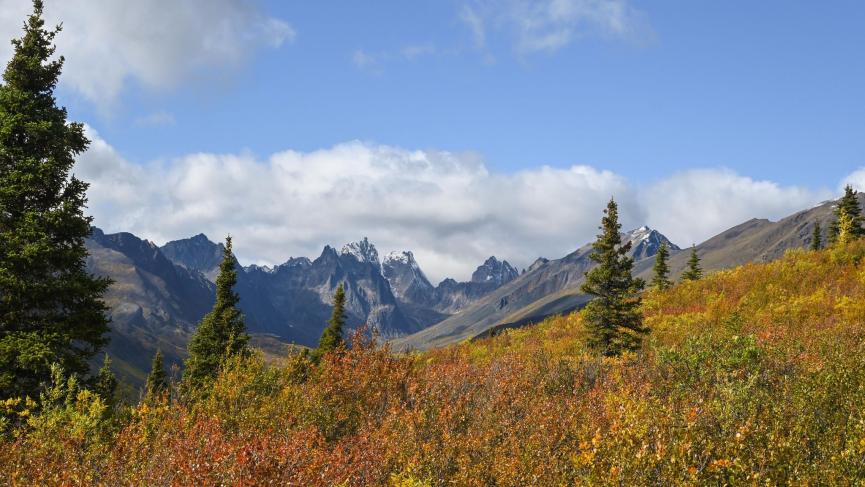 moutains with fall colour in foreground