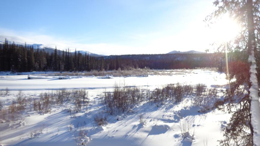 A sunny winter morning on a Yukon trapline