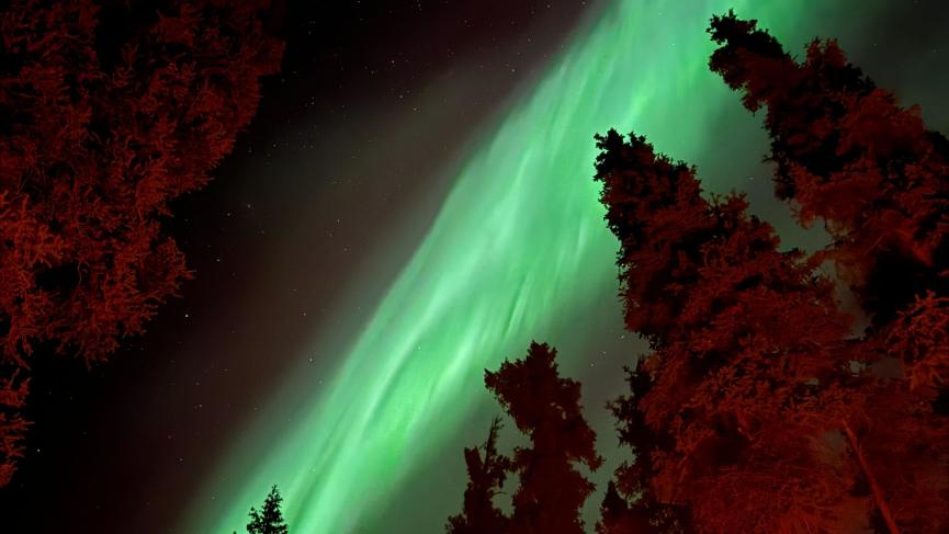 Aurora Borealis in the Yukon