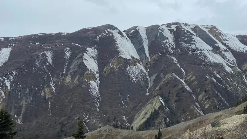 Hiking Sheep Creep Kluane National Park