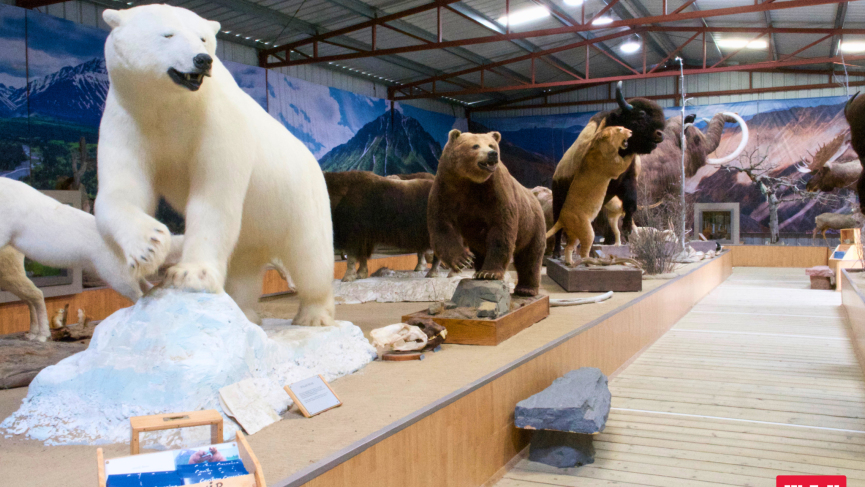 Northern Canada's largest wildlife exhibit.