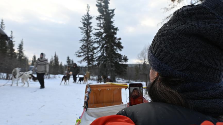 Getting ready for dogsledding in the Yukon wilderness