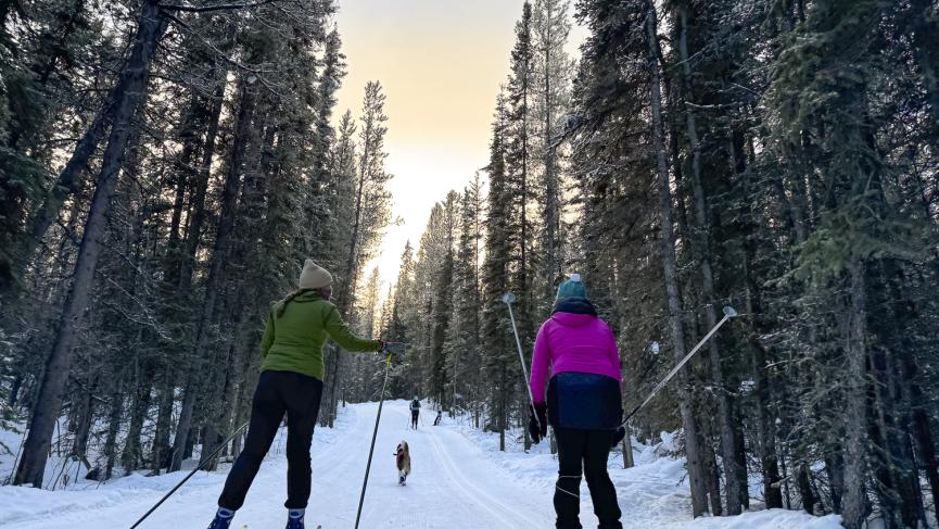 Two skiers glide under the winter sunset in Yukon.