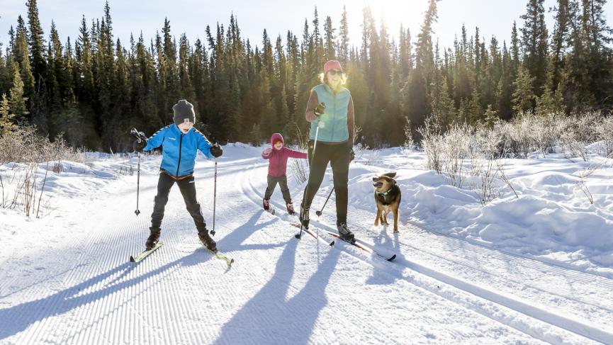 Family cross-country skiing on groomed trails at the Whitehorse Nordic Centre