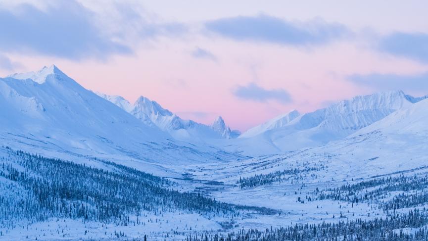 Pink skies Yukon in the winter