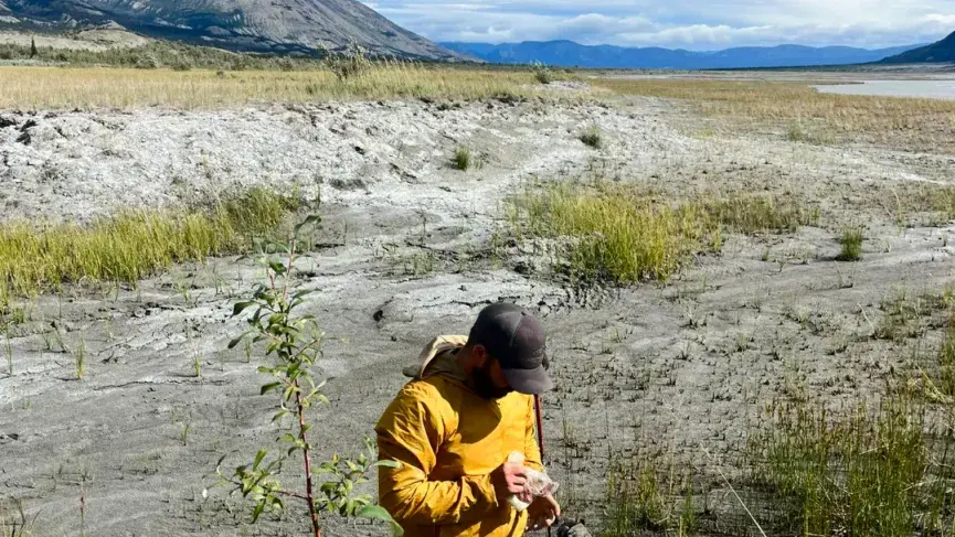 Back country cooking