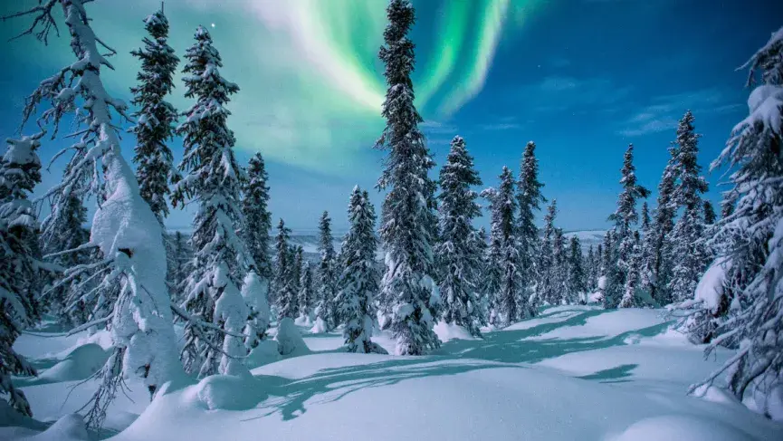 Northern Lights above Whitehorse wilderness