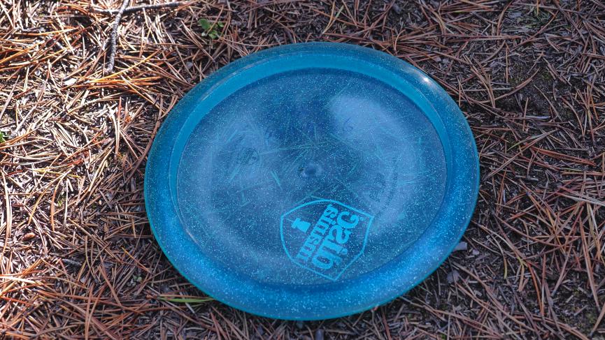Disc in Pine Needles