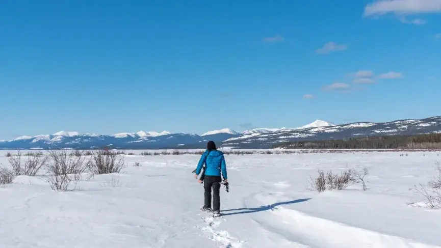 Snowshoeing Kluane
