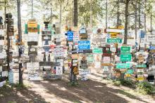 Take a trip around the world in the Sign Post Forest