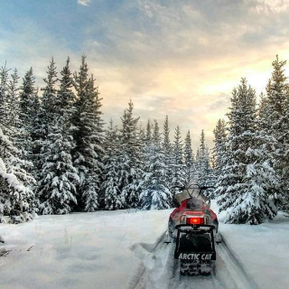 Snowmobile in a snowy forest
