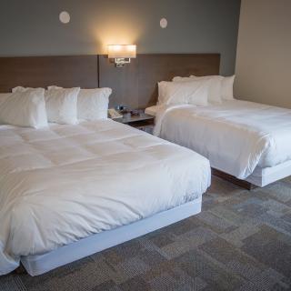 Bedrock Motel Two Queen Room