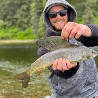 Wolf River Yukon Grayling