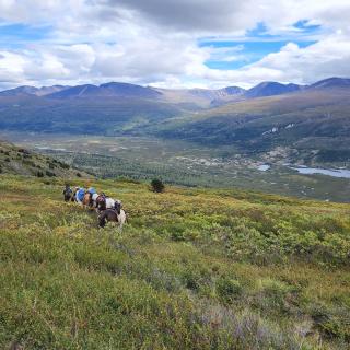 Yukon Horseback Hunt