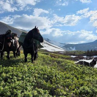 Pilot Mountain 8 Hour ride