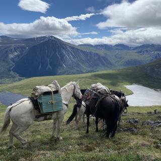 Yukon Horseback Hunt