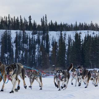 YQ250 RACE TEAM ON YUKON RIVER 2023