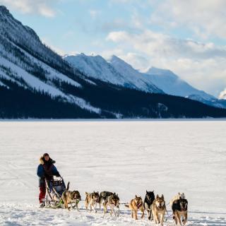 A dog team sleds across a frozen lake near large, snowy mountains