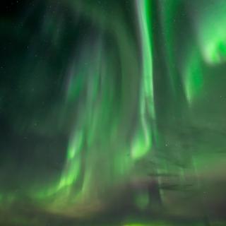 Northern lights shine over the open water