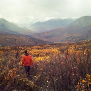 A hiker walks through vibrant reds and oranges in Tombstone park