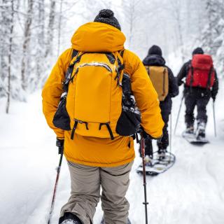 Snowshoeing through a winter landscape