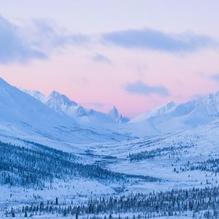 Pink skies Yukon in the winter