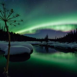 Northern lights over a creek