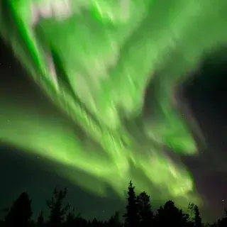 Northern Lights above Whitehorse wilderness