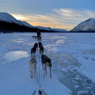 Mushing accros frozen lakes 