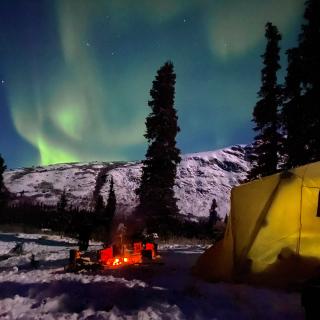 Camping under the northern lights 